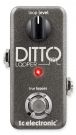 TC Electronic Ditto, looper