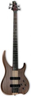 Samick DB5 WA Delta Bass